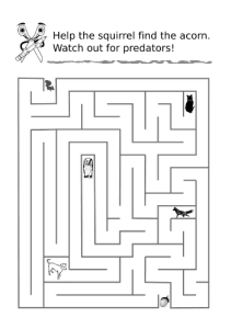 Help_the_squirell_find_the_acorn_maze labirinto-normativo