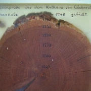 analogia SAL - crescita albero